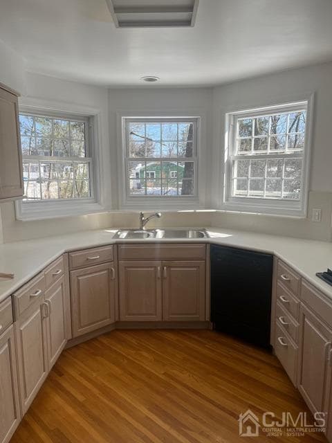 419 Reading Avenue photo 3