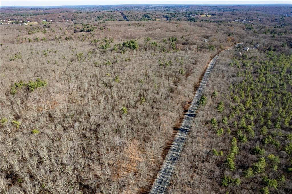 172 Pine Swamp photo 3