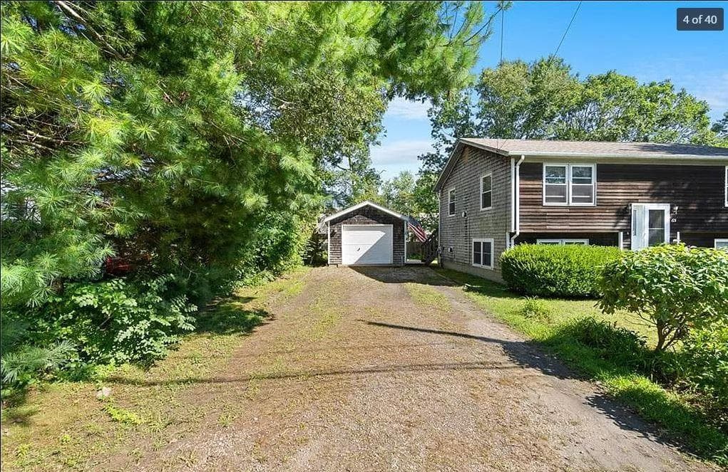 65 Alder photo 2