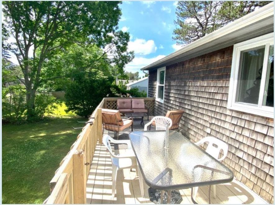 65 Alder photo 3
