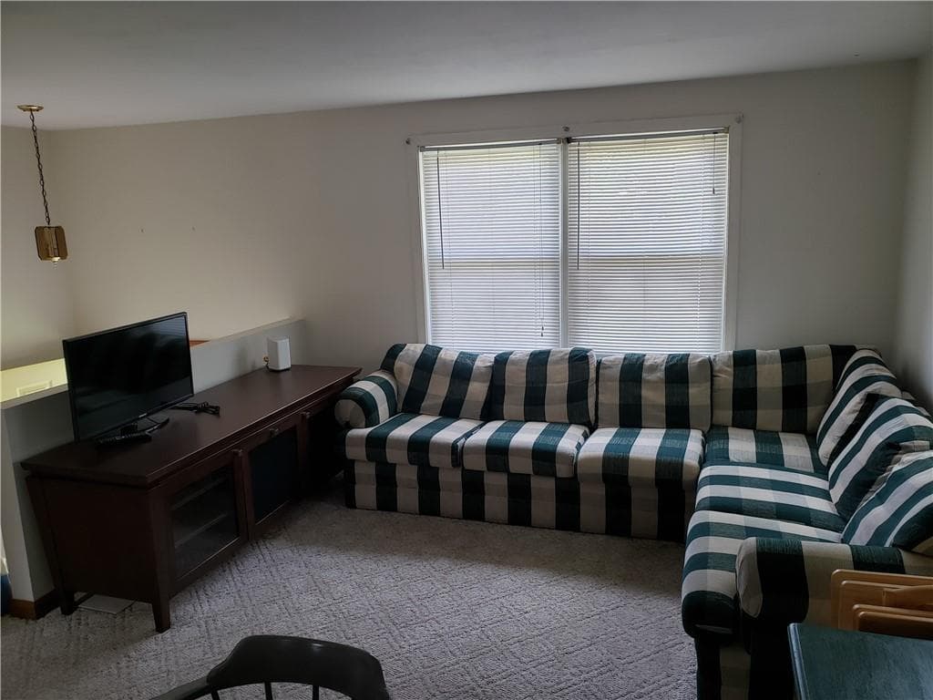65 Alder photo 5