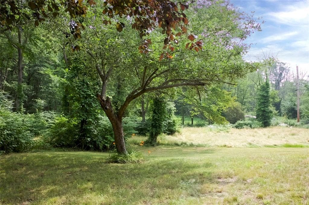 62 Belfield photo 5