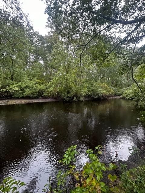 0 Wood River photo 3