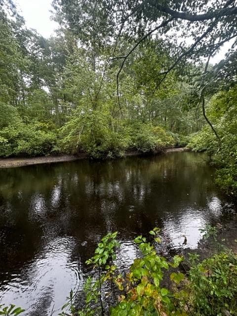 0 Wood River photo 5