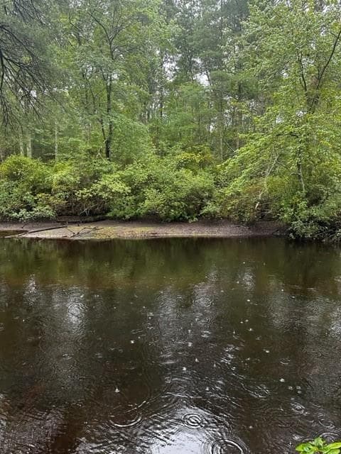 0 Wood River photo 4