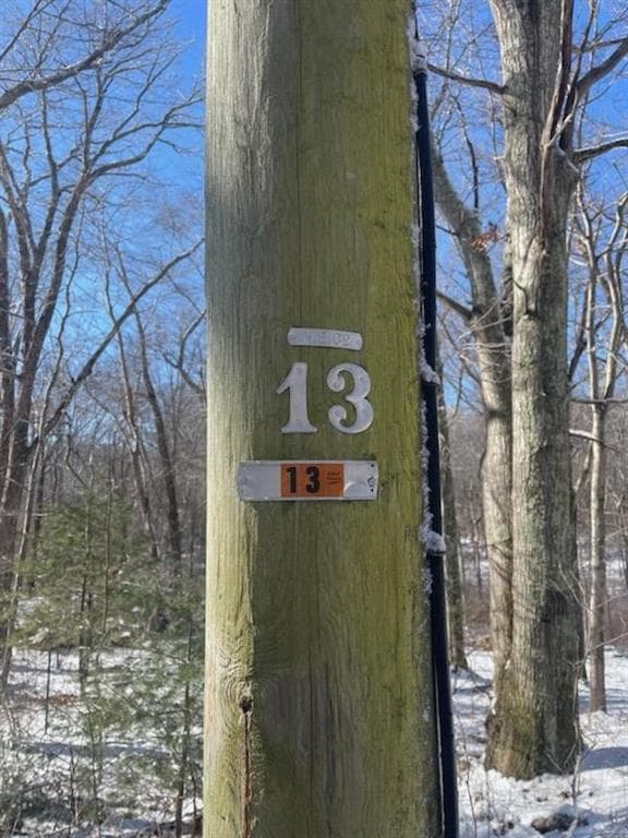 47 North photo 4