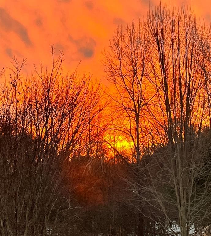 3 Setting Sun photo 4