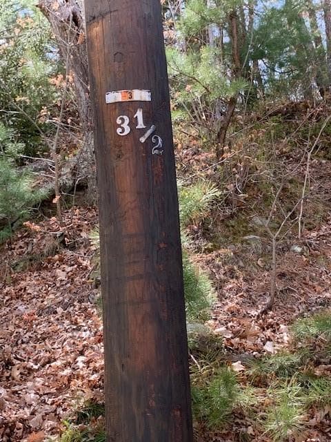 18 Homestead photo 3