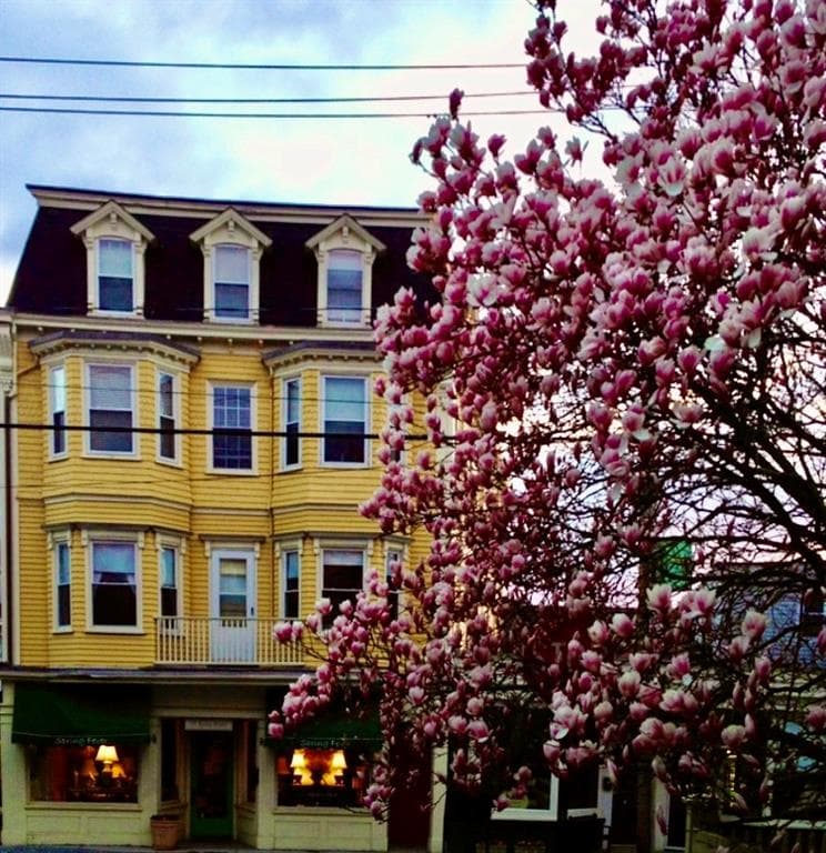 235 Spring #2