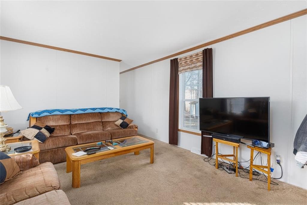 40 Leisure photo 3