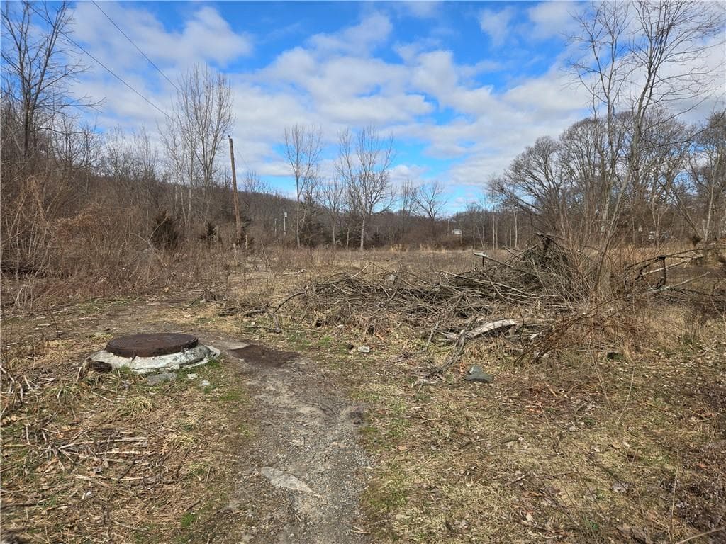 75 Pulaski photo 5