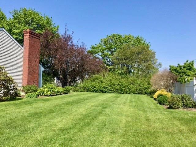 10 Blue Grass photo 3