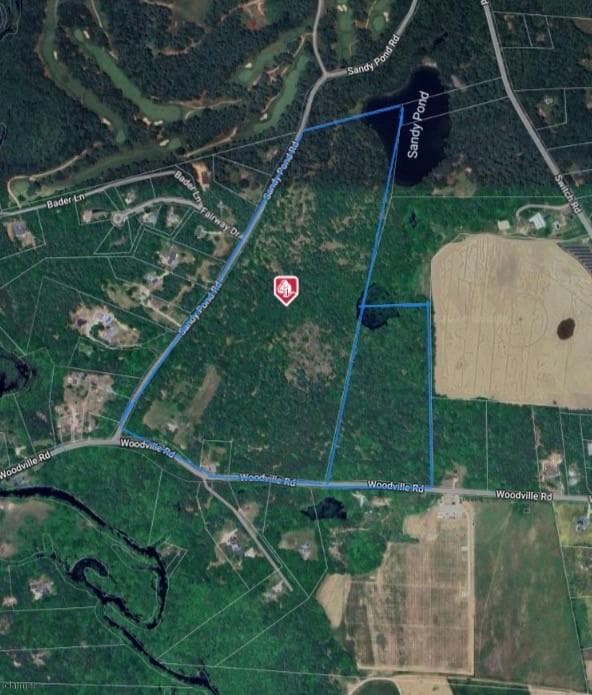 73 Woodville photo 2