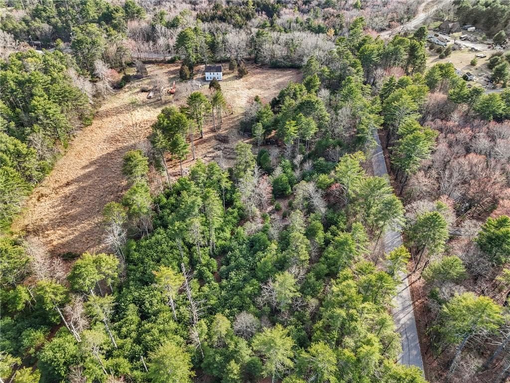 73 Woodville photo 4