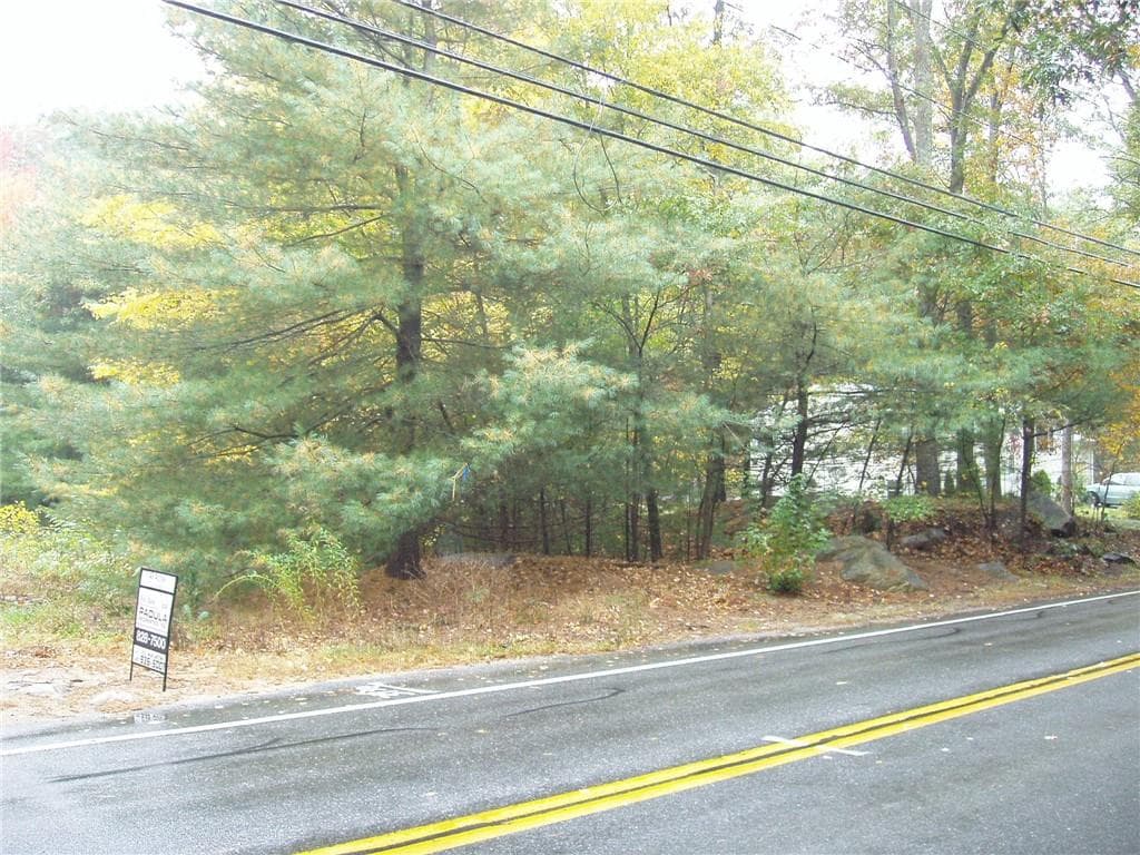 5125 FLAT RIVER photo 3