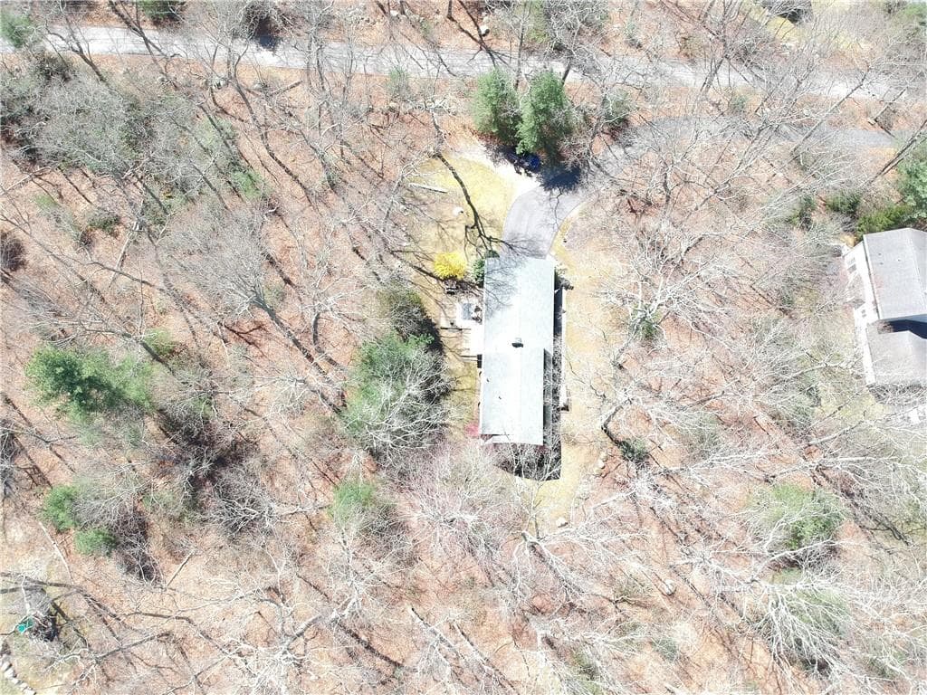 216 Laurel photo 4