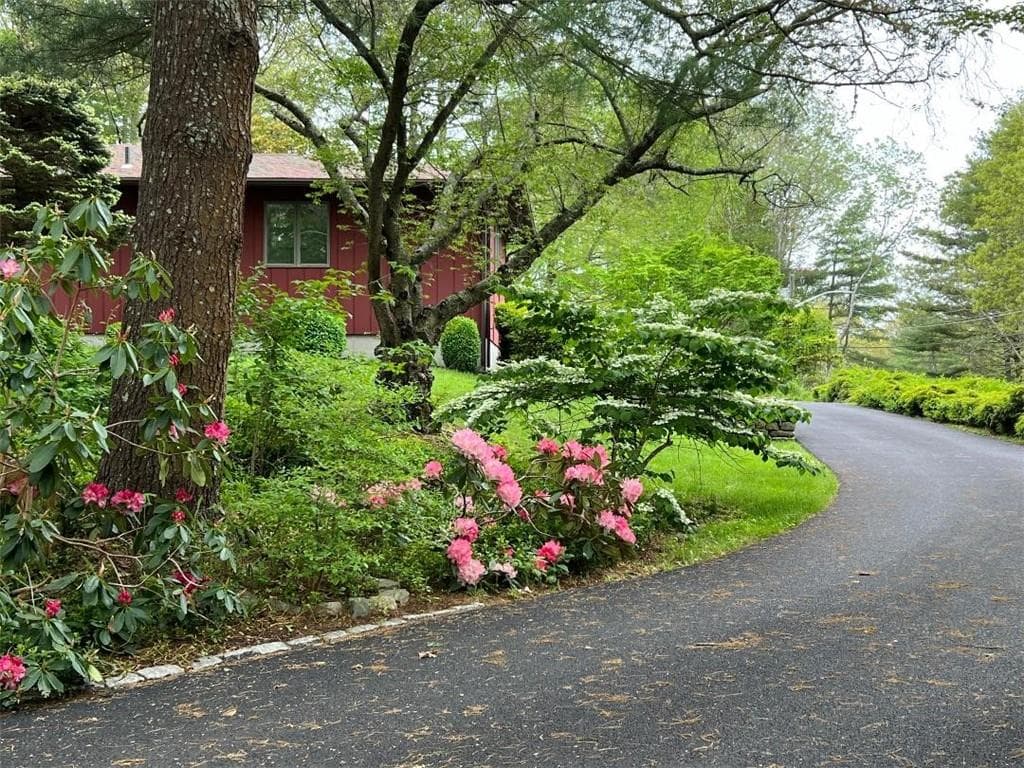 16 Saratoga photo 4
