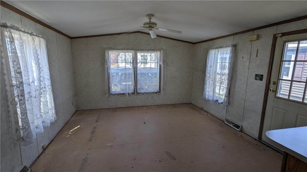242 Manton photo 4