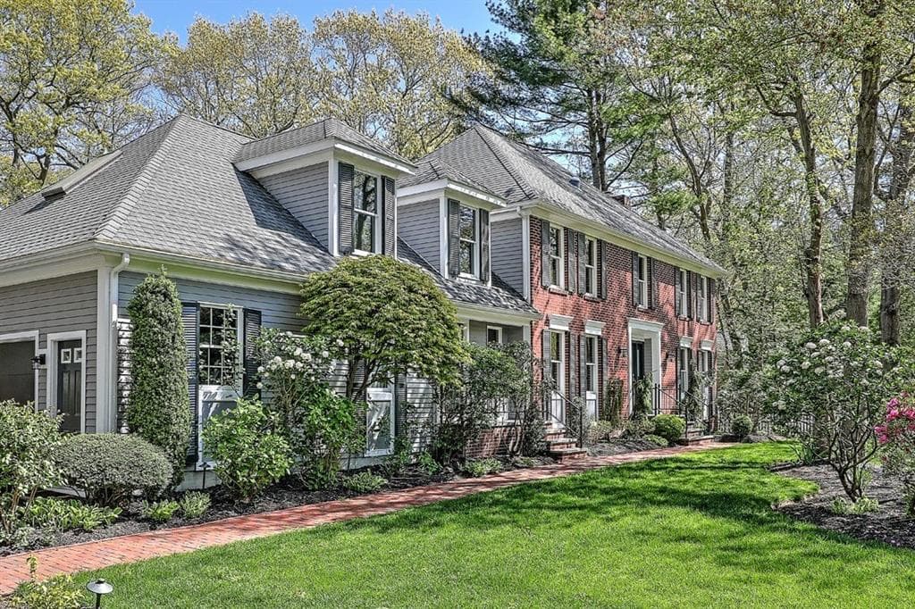 10 Boxwood