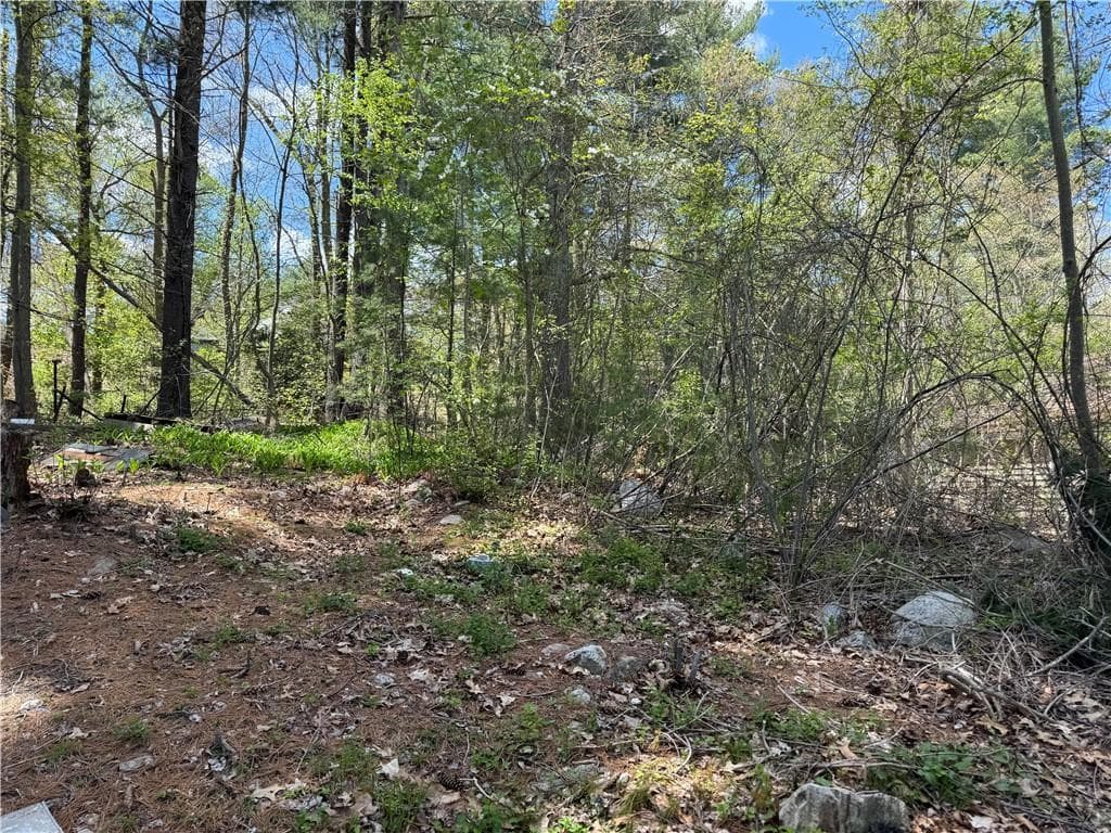 51 Knotty Oak Shores photo 4