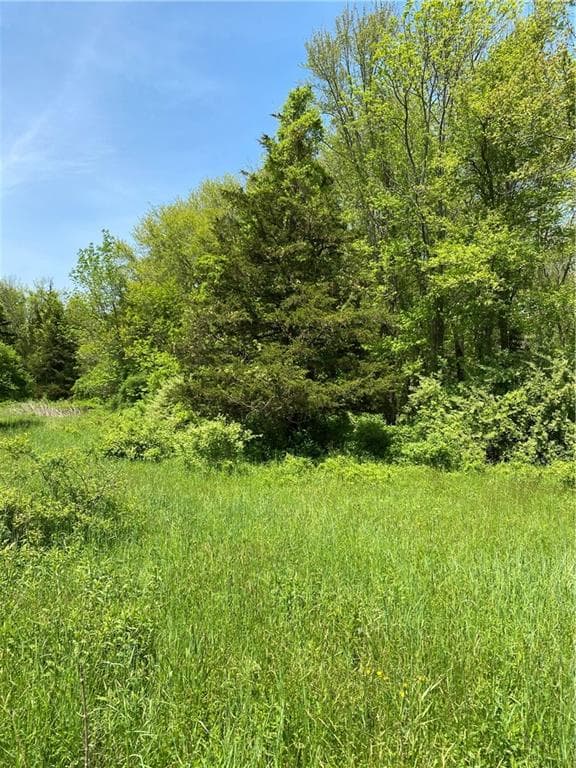 102 Plain Woods photo 2