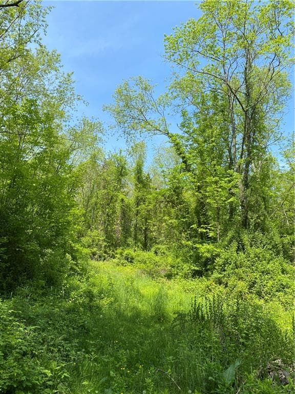 102 Plain Woods photo 3