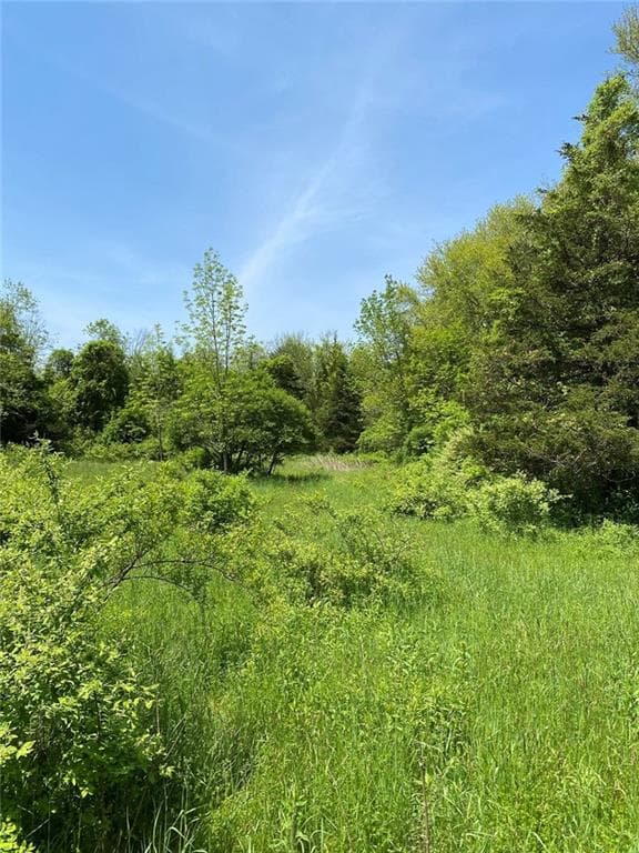 102 Plain Woods