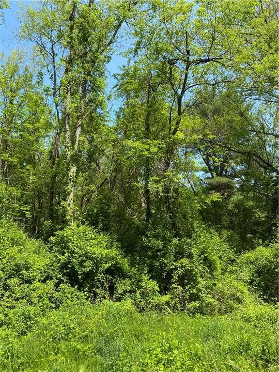 102 Plain Woods photo 5