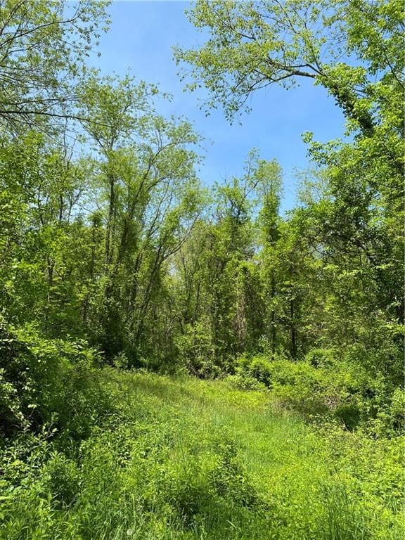 102 Plain Woods photo 4