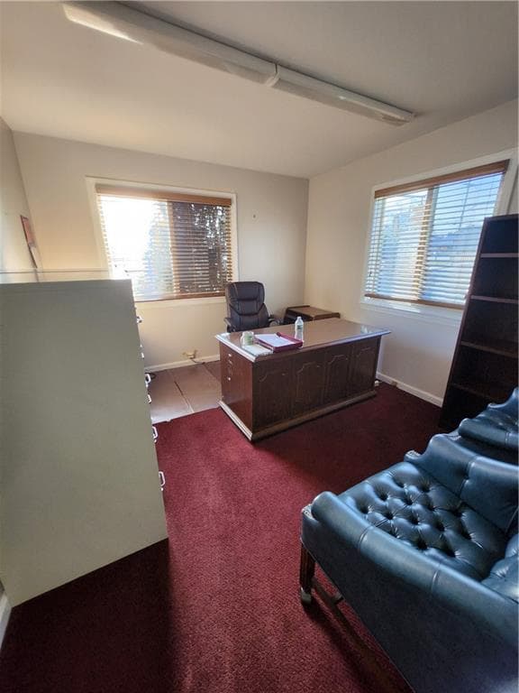 1815 Mineral Spring photo 4