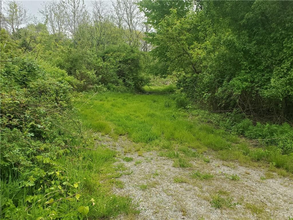 00 Bulgarmarsh photo 3