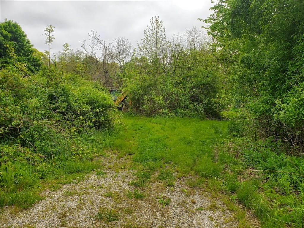 00 Bulgarmarsh photo 4