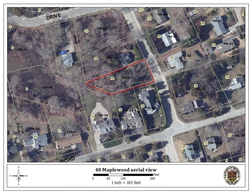 48 Maplewood photo 5