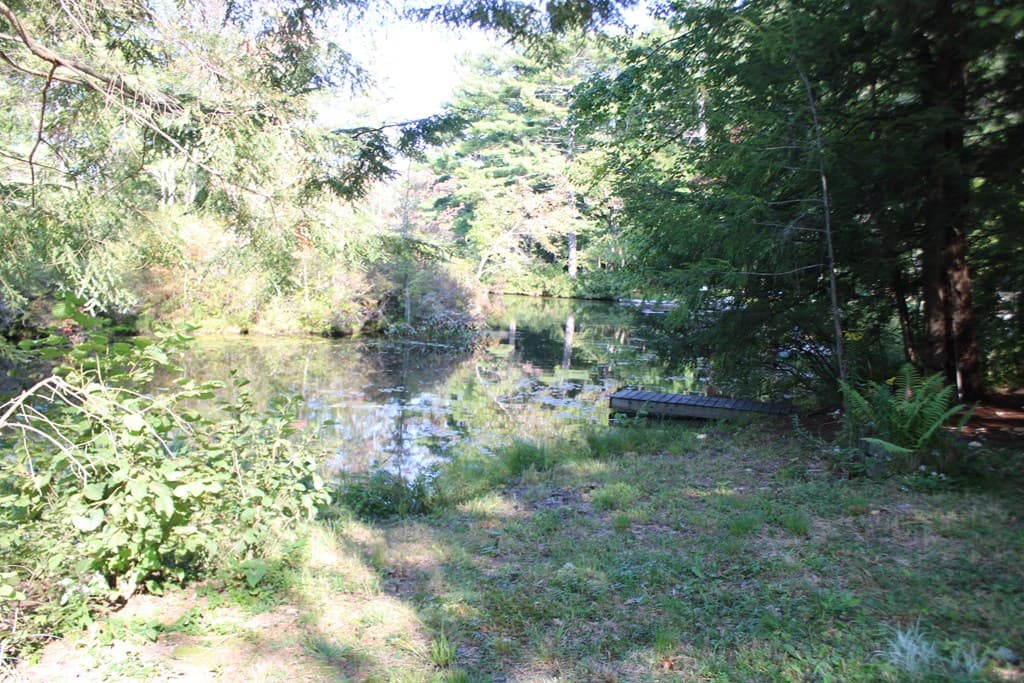 0 Shore Dr photo 5