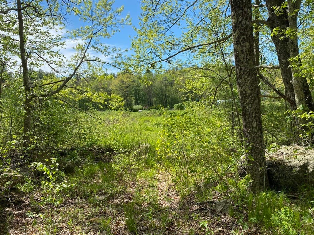 lot 3 West Rd photo 2