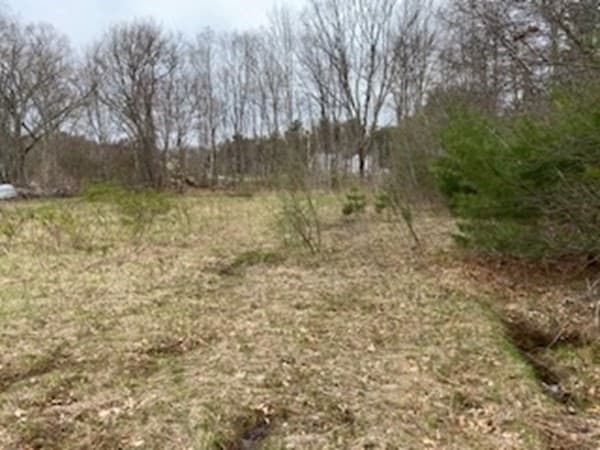 lot 3 West Rd photo 4