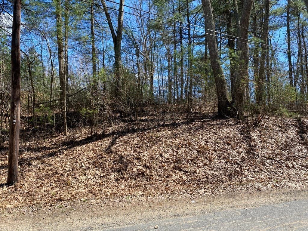 Lot B Hardwick Pond Rd photo 3