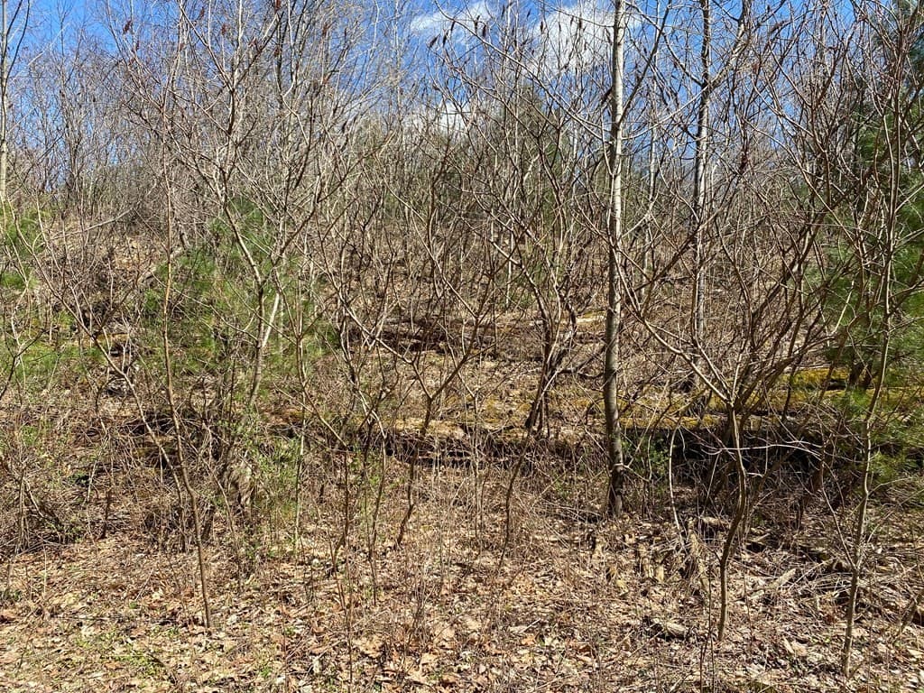 Lot B Hardwick Pond Rd
