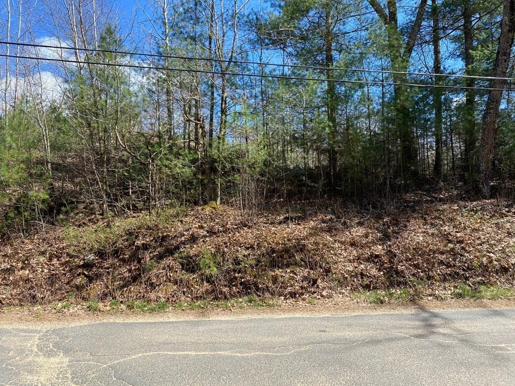 Lot B Hardwick Pond Rd photo 4