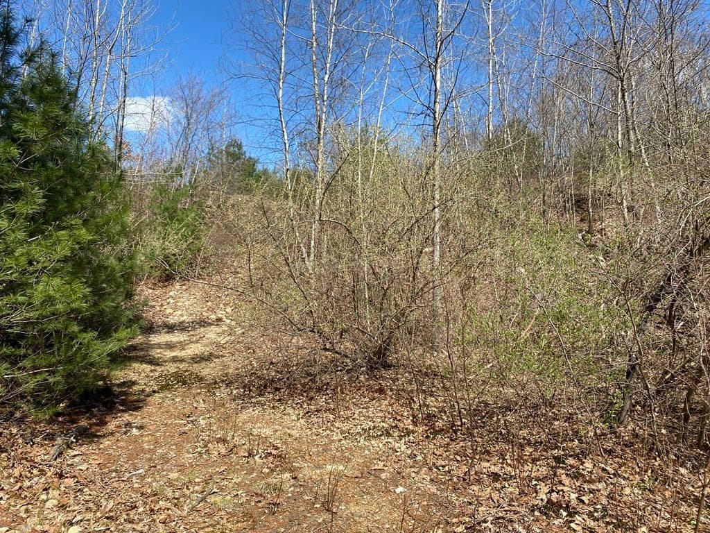 Lot C Hardwick Pond Rd