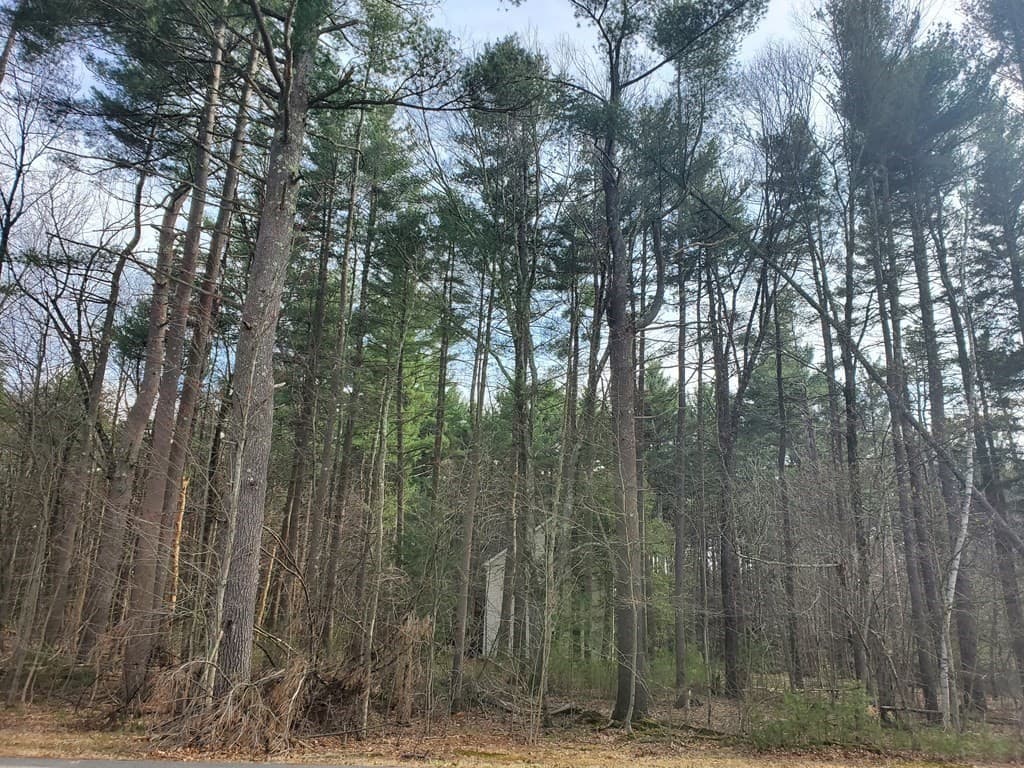 Lot 1 Westhampton Road photo 2