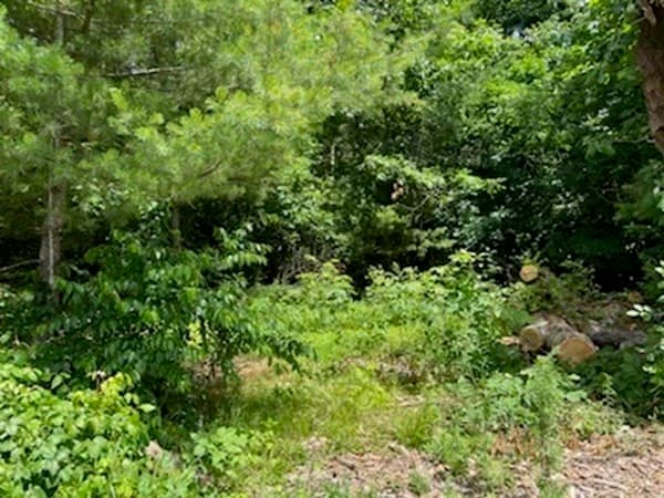 201 Wampum photo 3