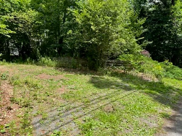 201 Wampum photo 5