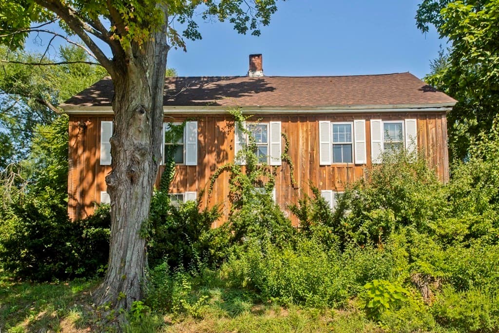436 Holyoke Street photo 4