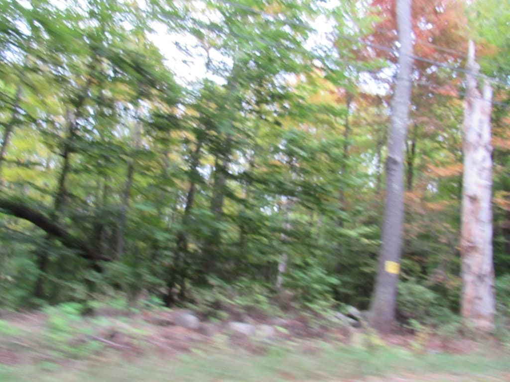 Lot 8 & 9 Skyline Trail photo 2