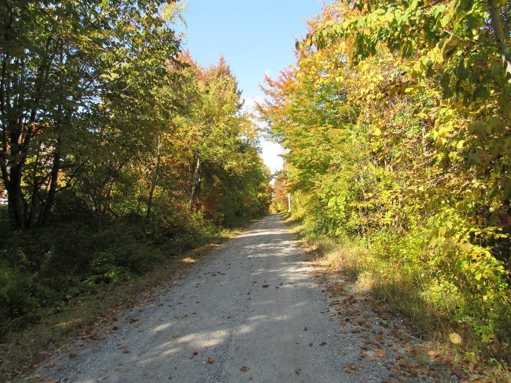 lot a Holcomb