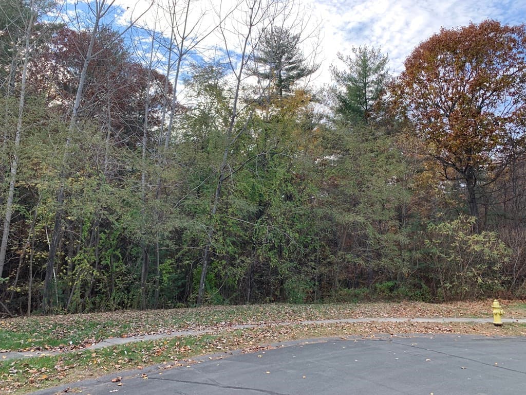 0 Coyote Glen photo 2