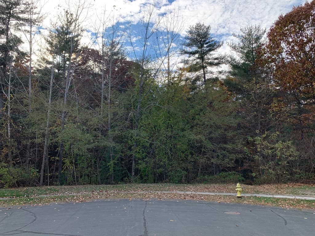 0 Coyote Glen