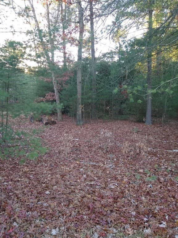 0 Root Rd. photo 2