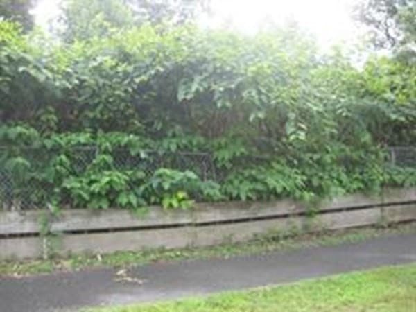 22 Azalea Circle photo 5